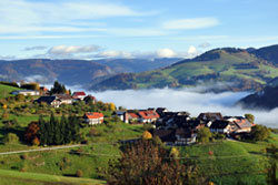 Aussicht auf Pfaffenberg